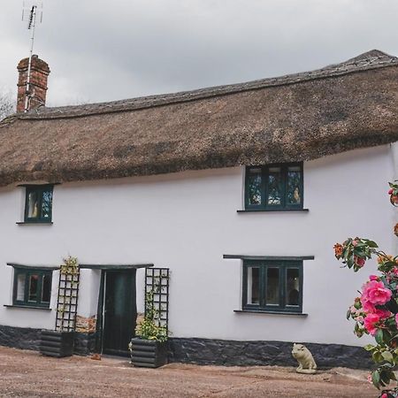 'The Cottage' Okehampton Zewnętrze zdjęcie