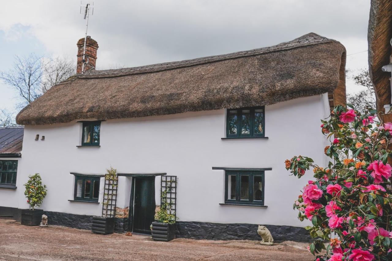 'The Cottage' Okehampton Zewnętrze zdjęcie