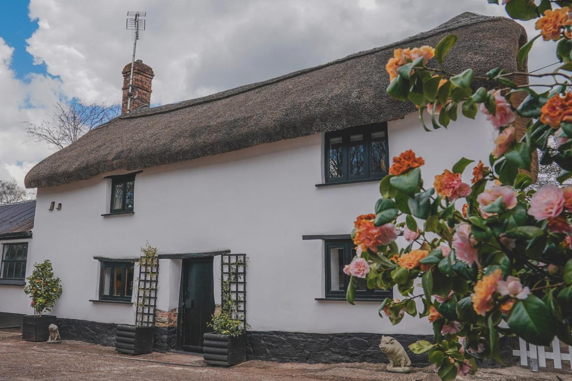 'The Cottage' Okehampton Zewnętrze zdjęcie